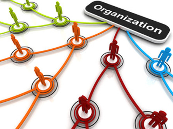 Organizzazione